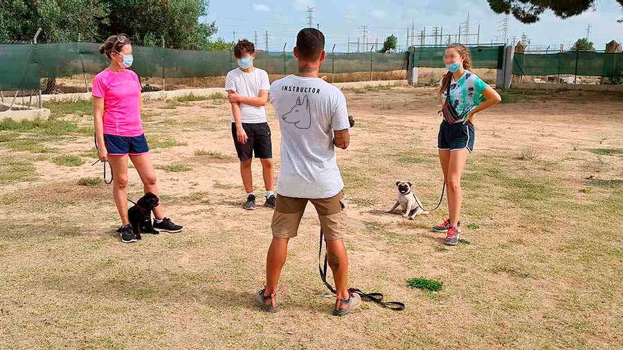 educación canina en familia en Valencia