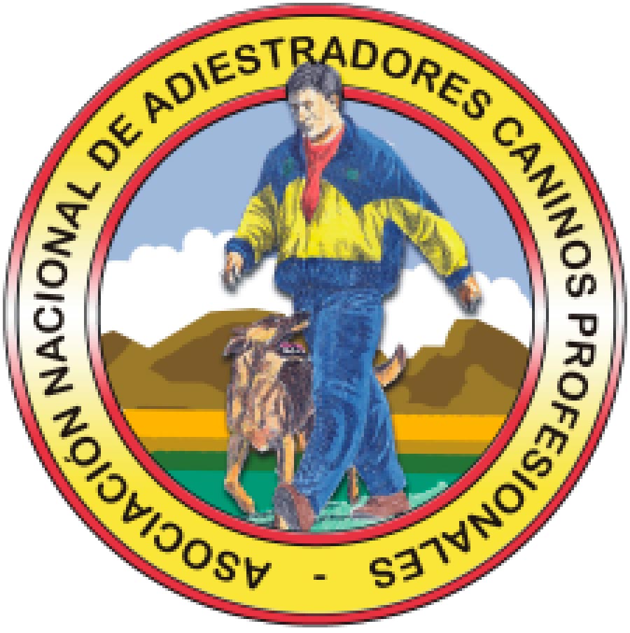 Curso de adiestrador canino profesional homologado en Valencia