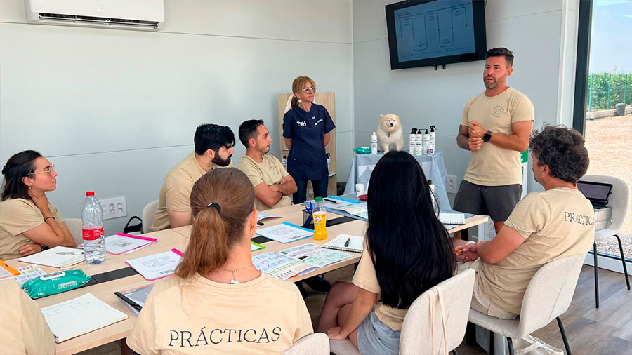 Curso adiestrador canino profesional homologado Espaican.